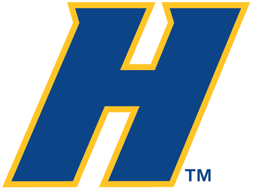 Hofstra Pride 2005-Pres Alternate Logo diy iron on heat transfer